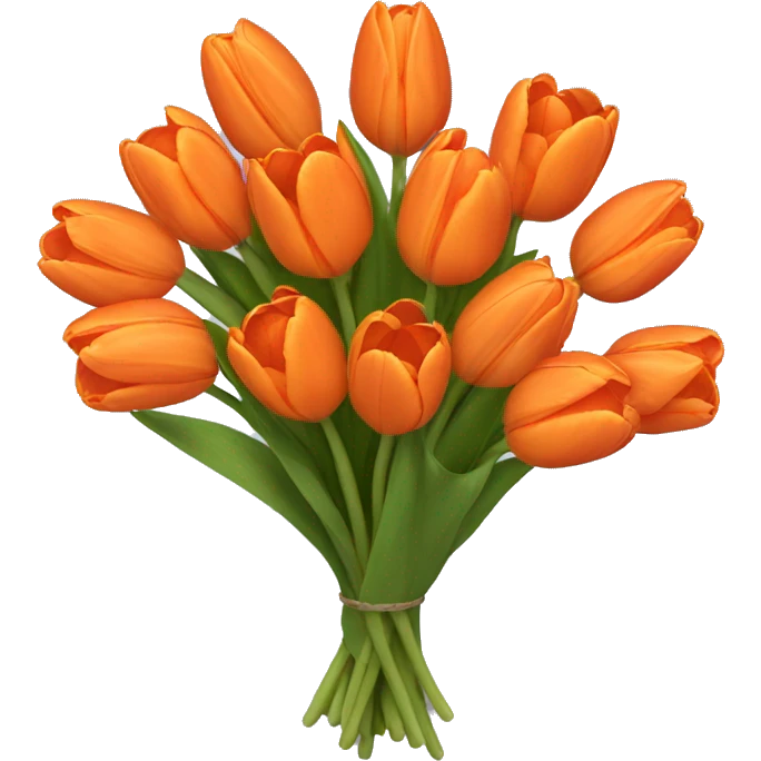 orange tulip bouquet  emoji