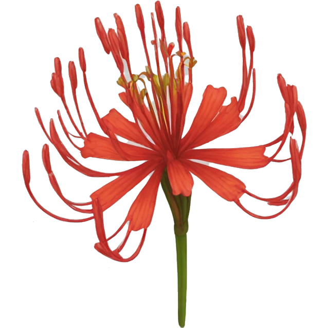 lycoris emoji