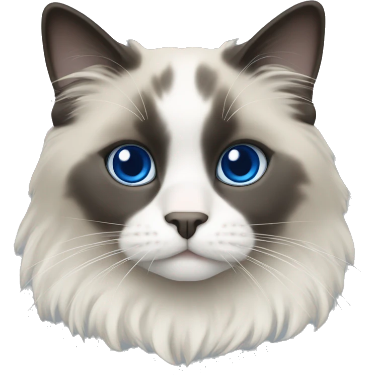 Blue point ragdoll with flat coat emoji