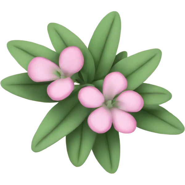 Pink sage plant emoji