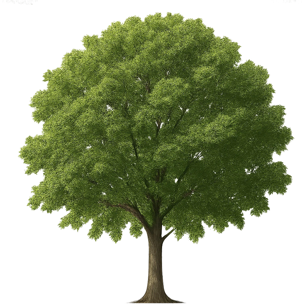 a tree emoji