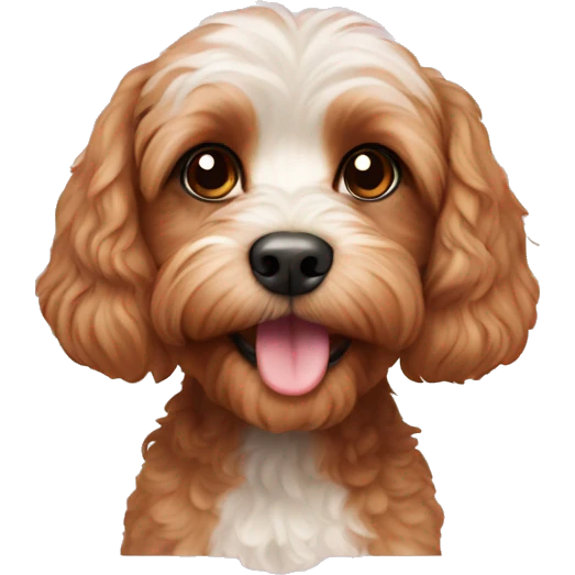 cavoodle emoji