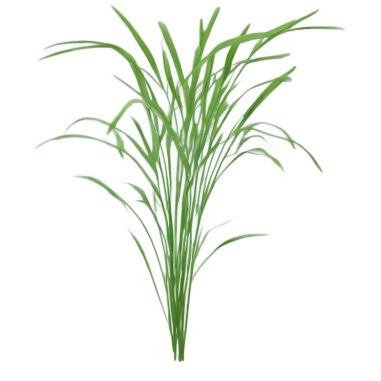 Reed emoji