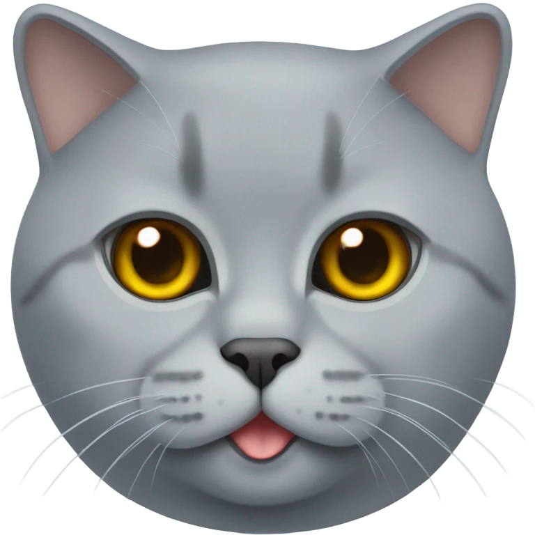 British shorthair emoji