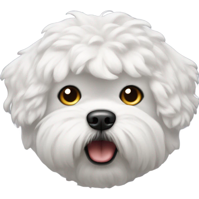 An angry looking bichon face emoji