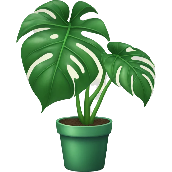 Monstera plant  emoji