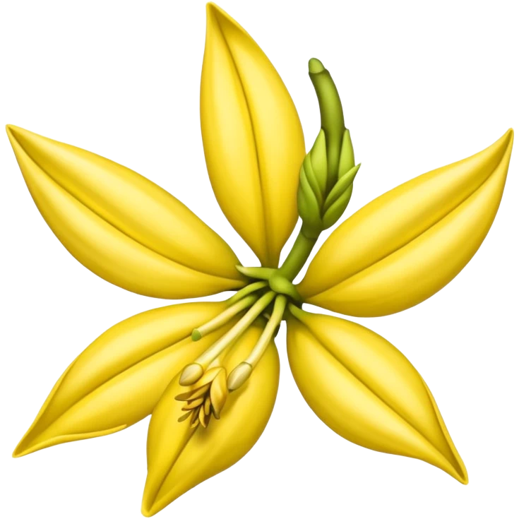 ylang ylang flower little closed emoji