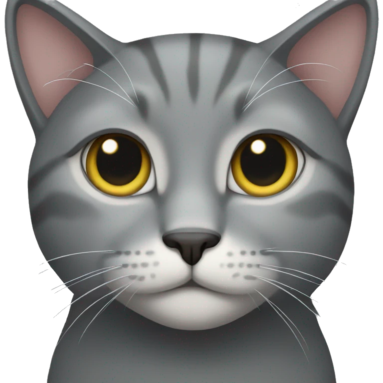 Grey cat emoji