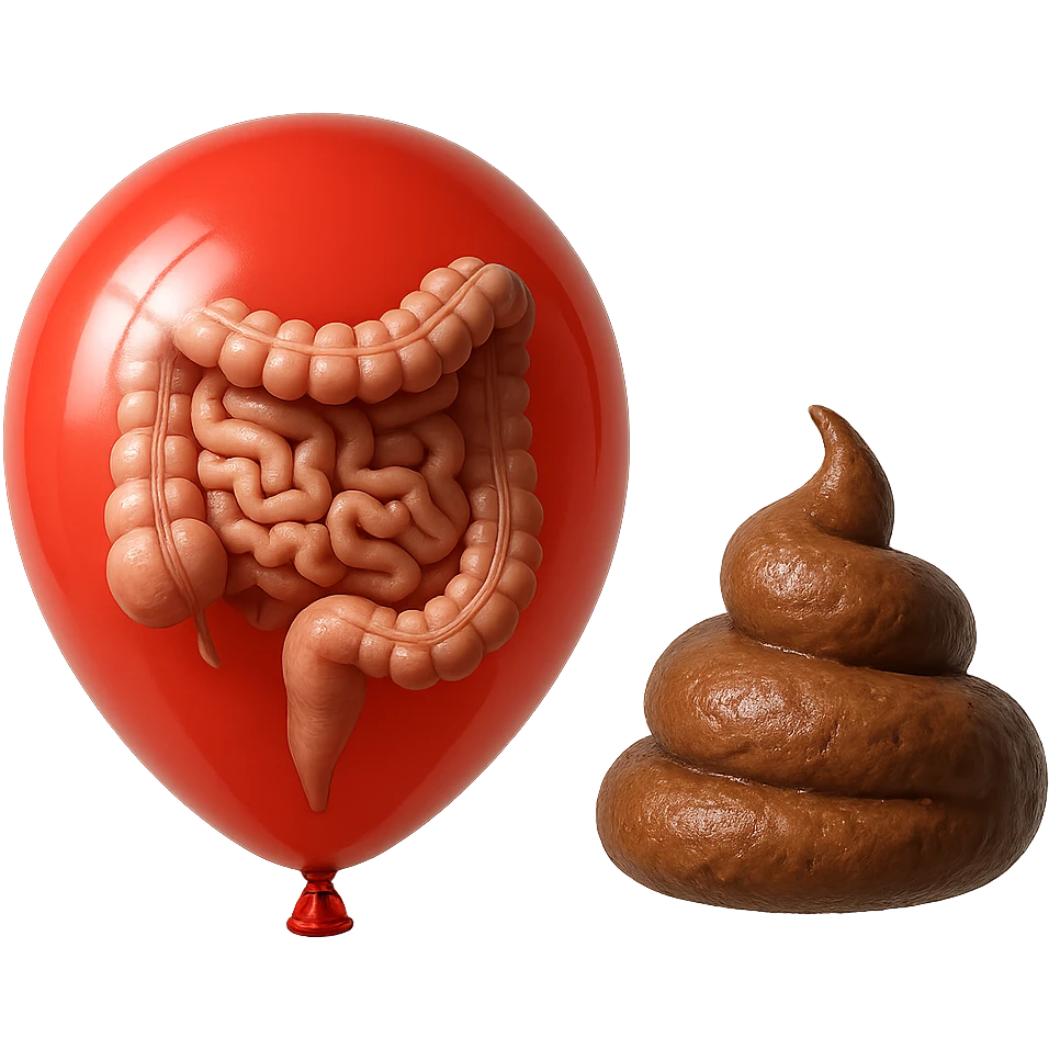intestino umano anatomico chiuso in un palloncino rosso che simboleggia gonfiore, accanto un simbolo di cacca che simboleggia "diarrea", iperrealistico 4k emoji