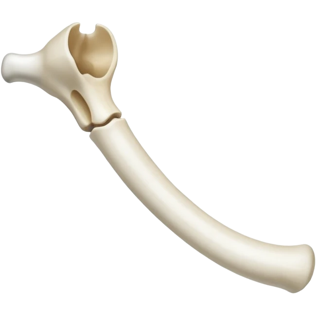 singular long anatomic bone emoji