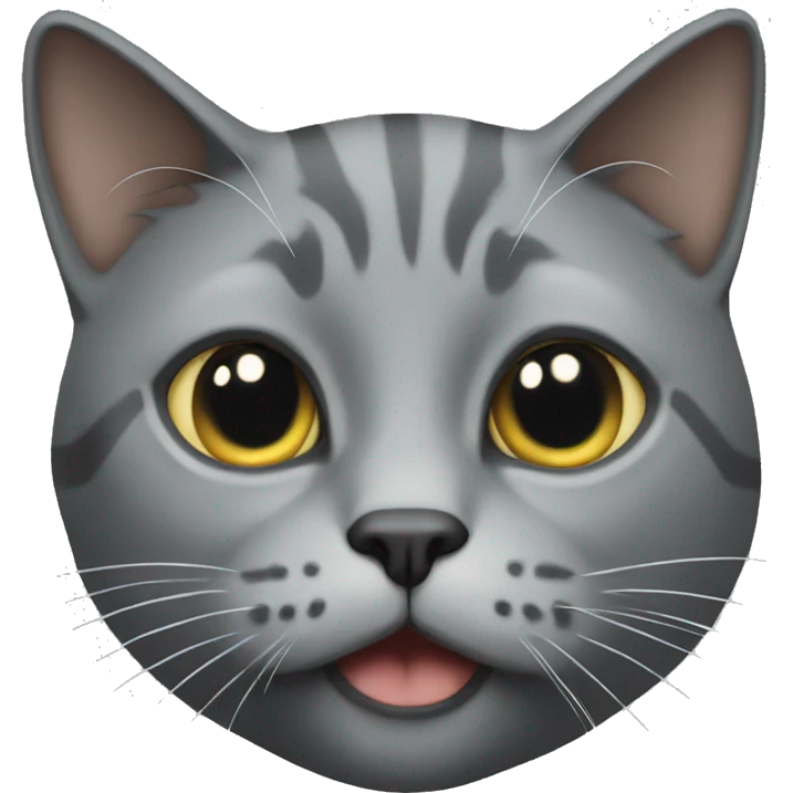 realistic grey cat without stripes  emoji