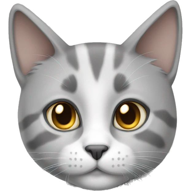 Whitw and gray cat  emoji