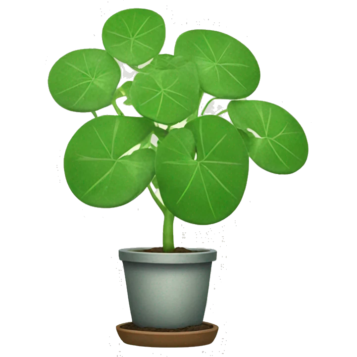 Chinese Money plant emoji