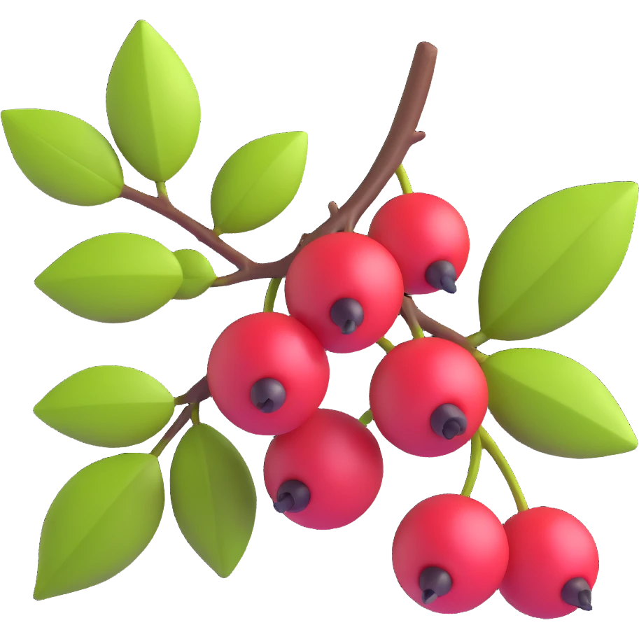 Prunus mahaleb cherry close-up of dark red berries on branch, 3D iOS style, emphasis on volume and light-shadow, clean modern background emoji