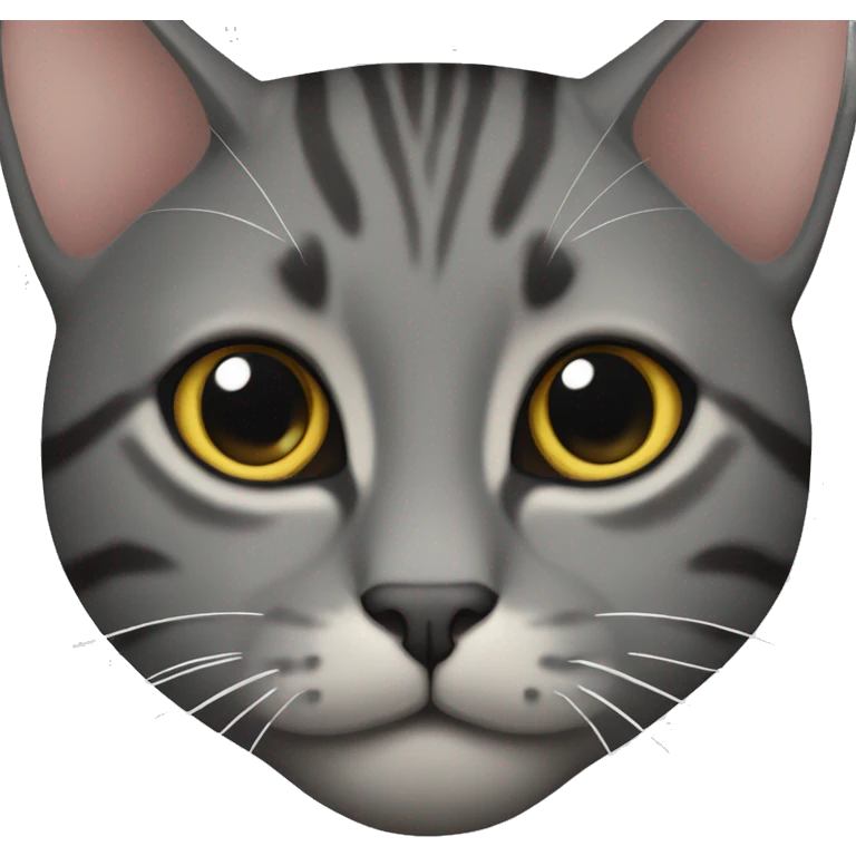Dark grey tabby cat  emoji