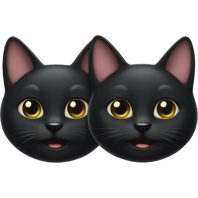 Two black cats emoji