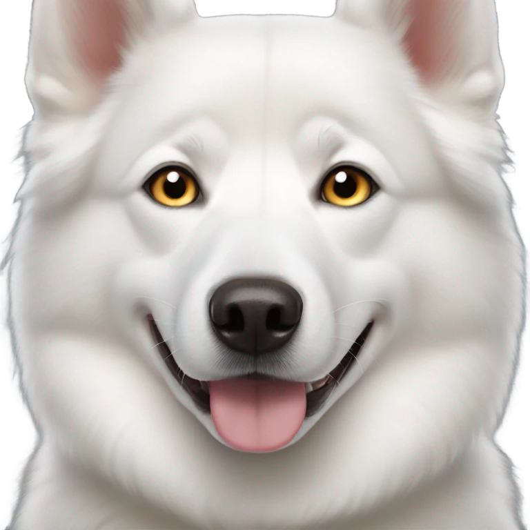 white husky dog with heterochromia  emoji