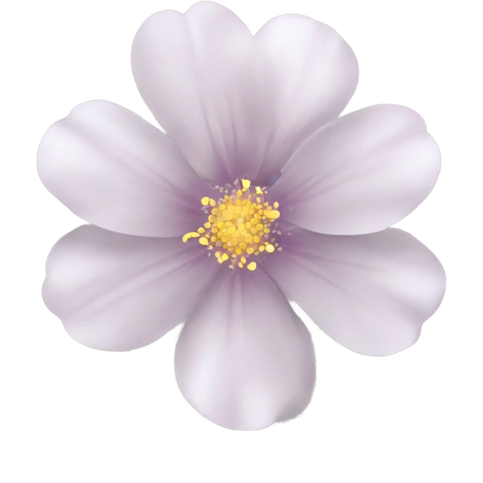 transparent clear flower pretty delicate emoji