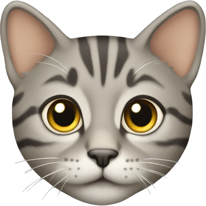 grey tan tabby emoji