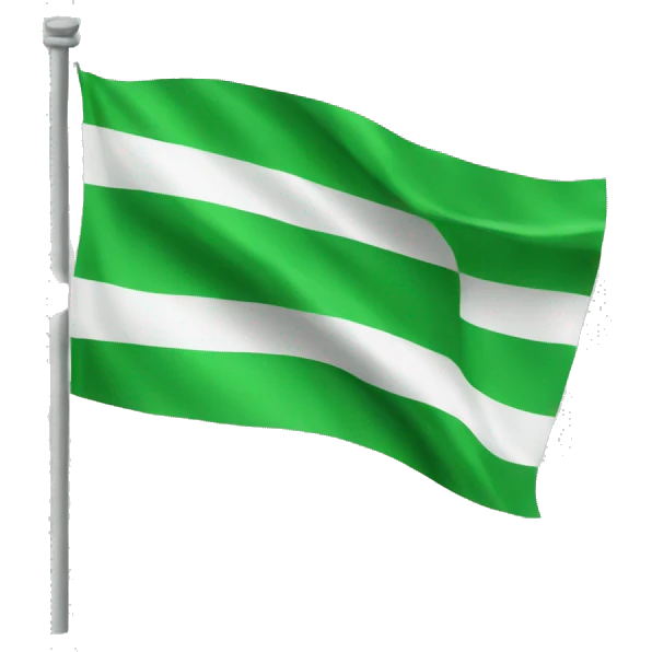 Green flag emoji emoji