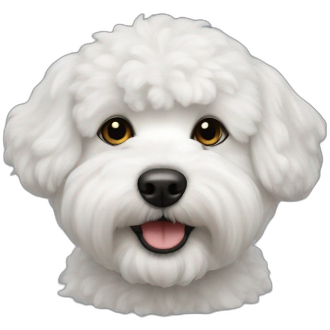 bichon-havanais-half-white-black emoji