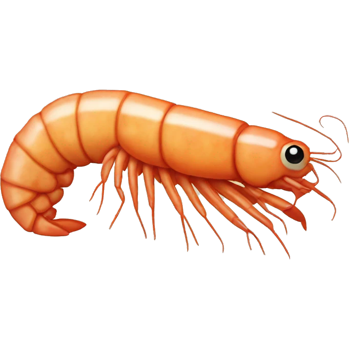 shrimp emoji