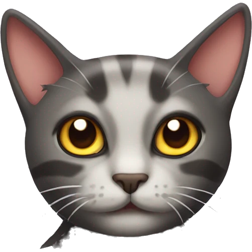Spider cat emoji