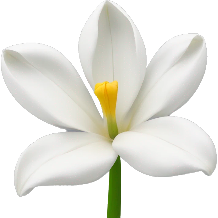 White tulipani emoji