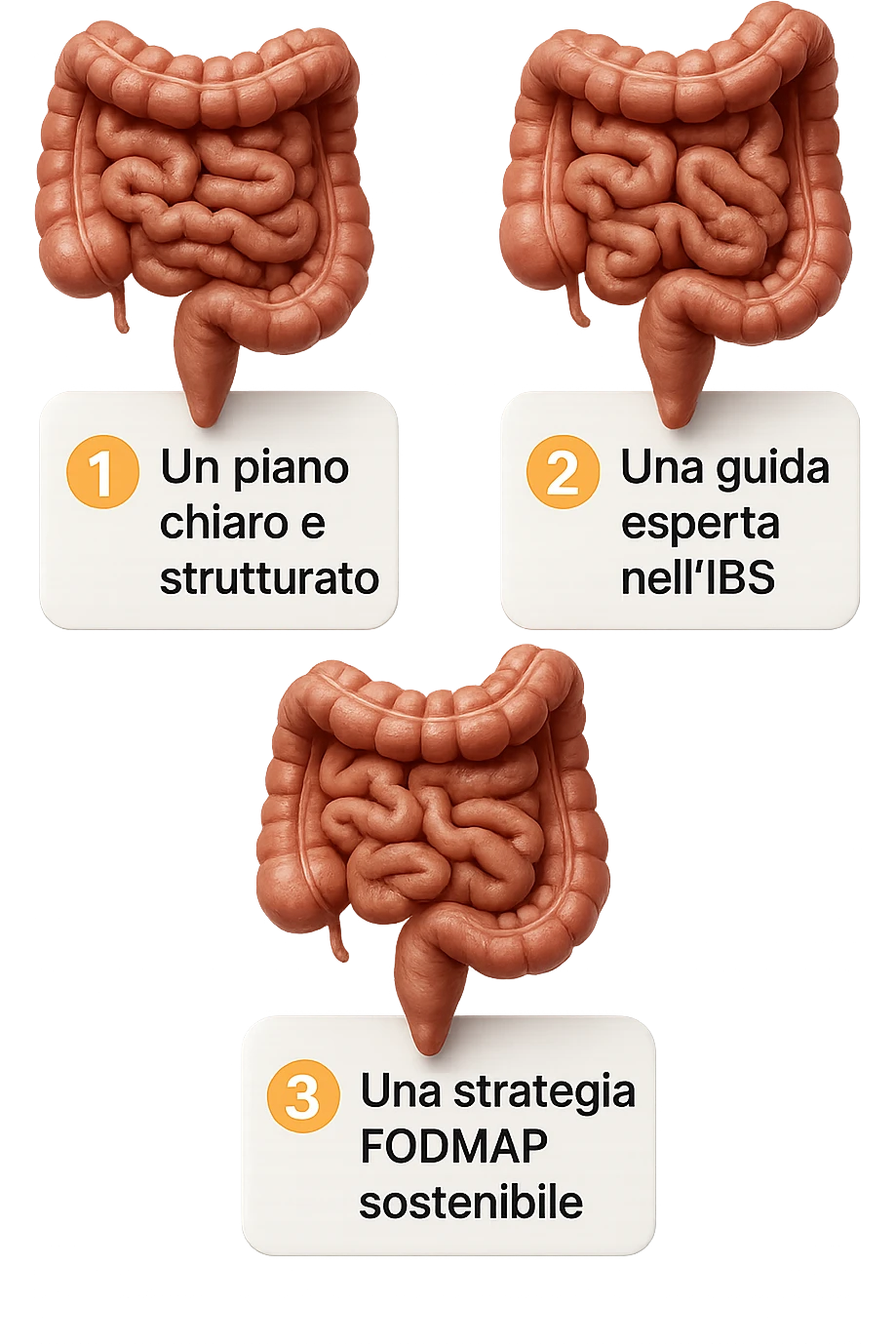 emoji stile iphone di 3 targhette numerate con intestino realistico davanti ad ogni targhetta, le targhette sono:
"1 – Un piano chiaro e strutturato
2 – Una guida esperta nell’IBS
3 – Una strategia FODMAP sostenibile"
, iperrealistico 4k emoji