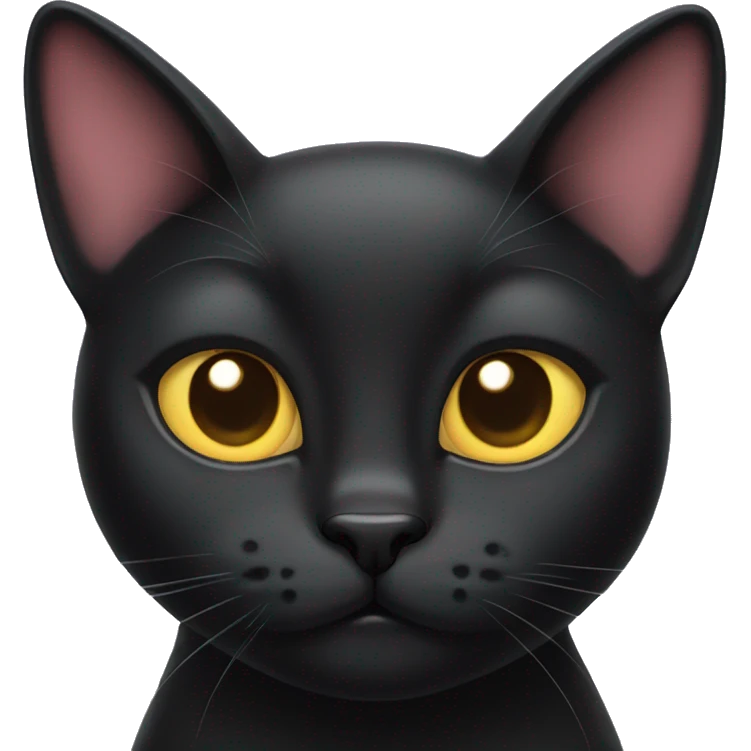 Black Cat with heart eyes emoji