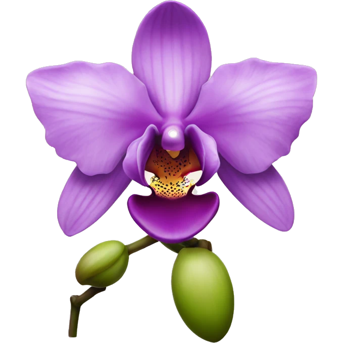 orchid emoji