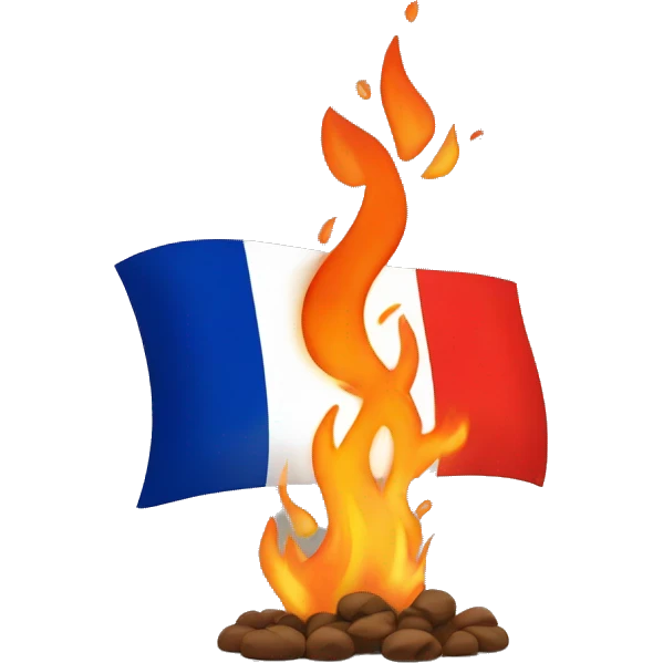 French flag with fire emoji