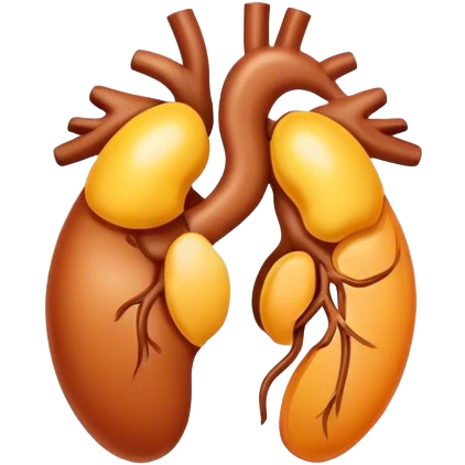 Kidney emoji