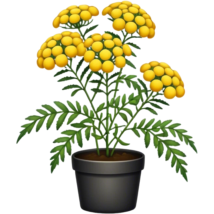 Tansy plant emoji