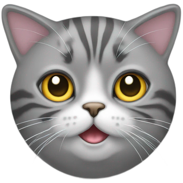 Chat gris sur un phoques emoji