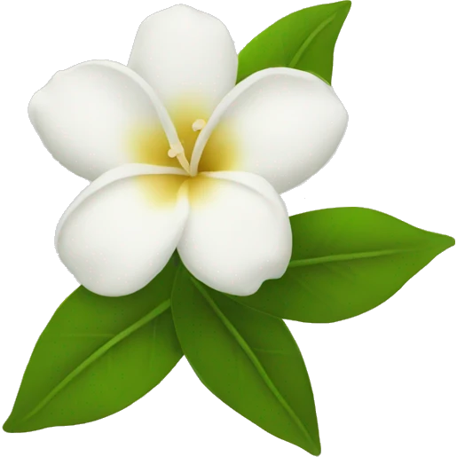 Jasmine flowers  emoji
