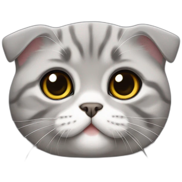 Scottish Fold gray Tommy hilfiger emoji