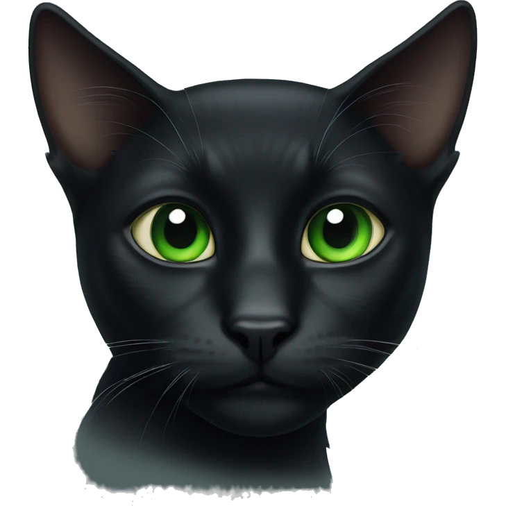 Black cat with green eyes  emoji