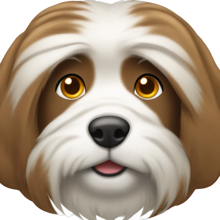 Dog with long hair brown and white long muzzle  emoji