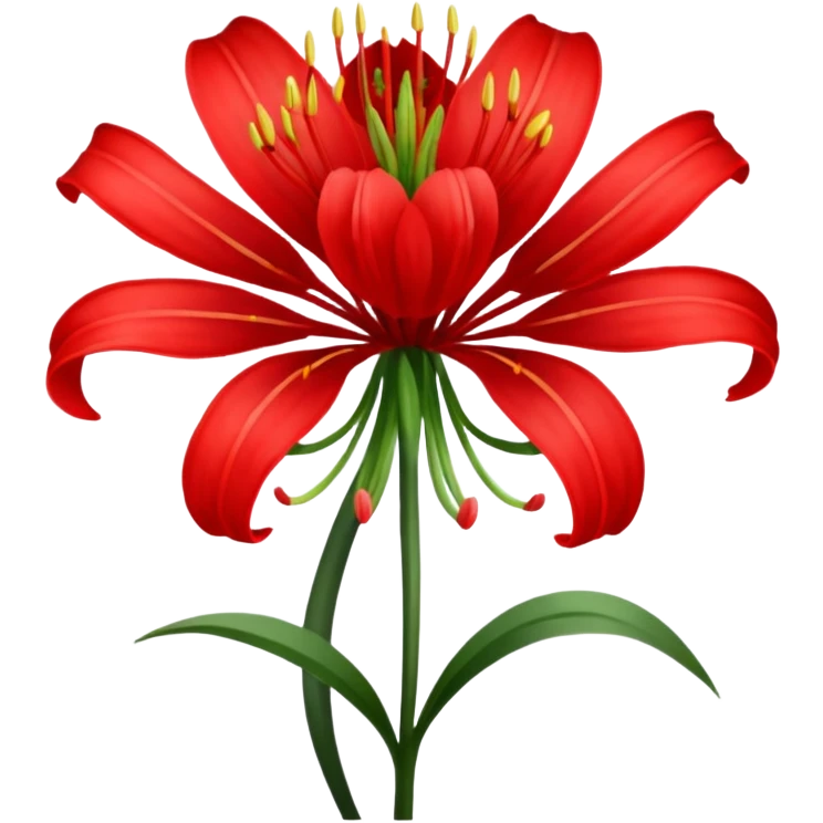 Lycoris emoji