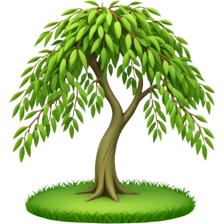 A 3D cartoon willow tree with drooping green branches over soft grass, natural sunlight, Memoji-style rendering. emoji