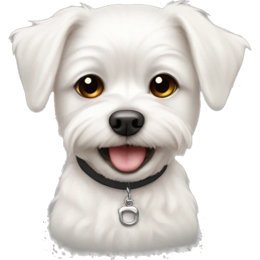 Maltese boy tiny overbite one tooth sticking out of mouth with collar that says Jake emoji