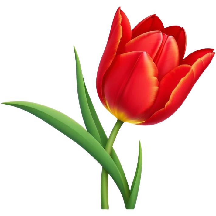 Beautiful tulip flower with vibrant petals and green stem emoji