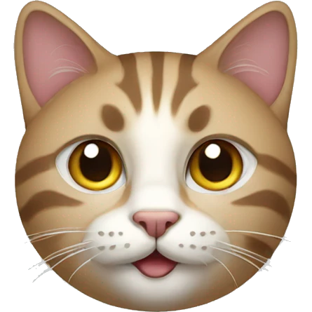 cat face emoji