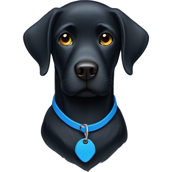 Black Labrador with blue collar emoji