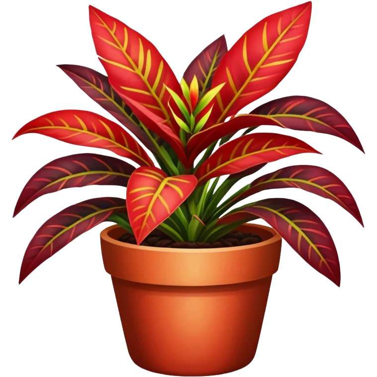 red Variegated Codiaeum in a pot emoji