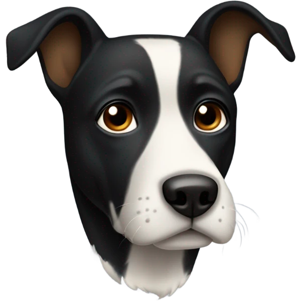A medium-sized dog with a predominantly black coat and a white blaze on its chest and face. The dog has large, dark eyes and a long, pointed snout. The dog's ears are floppy and it has a gentle expression. emoji