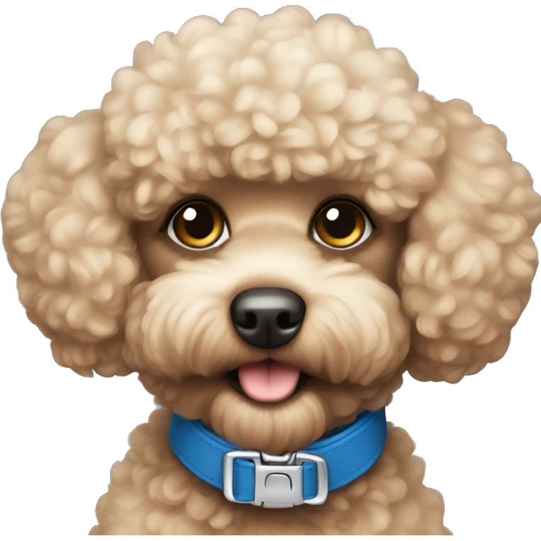 Toy poodle blue collar emoji