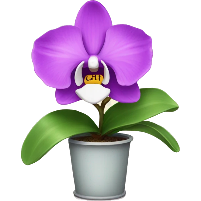 orchid plant emoji