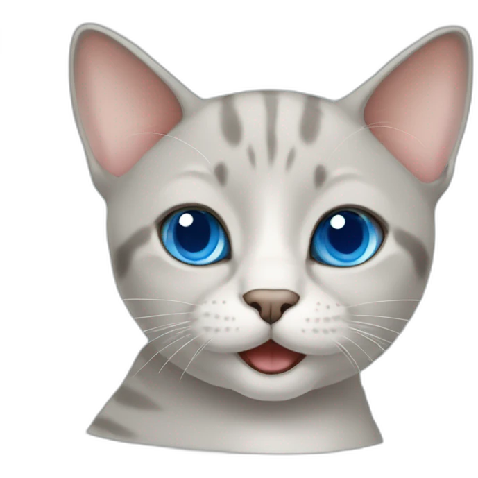 british short-hair cat with blue eyes thumbs up emoji